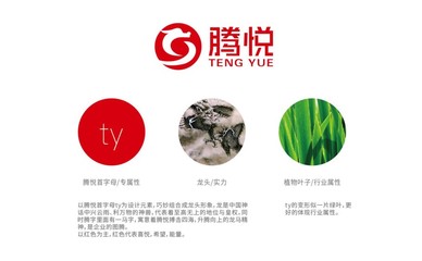 深耕農(nóng)業(yè)沃土，擘畫(huà)品牌新篇——專(zhuān)業(yè)農(nóng)業(yè)品牌戰(zhàn)略咨詢(xún)與企業(yè)形象策劃解析